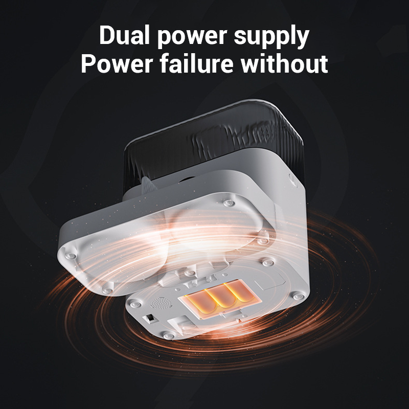 Automatic Pet Feeder